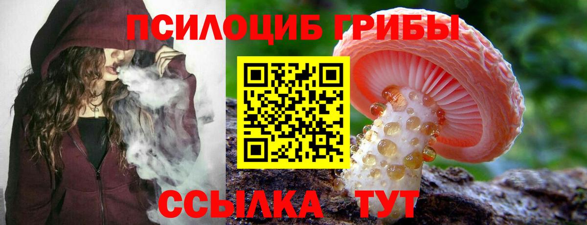 Псилоцибиновые грибы прущие грибы  Вход с VPN  Псилоцибиновые грибы Psilocybine cubensis  Кстово 